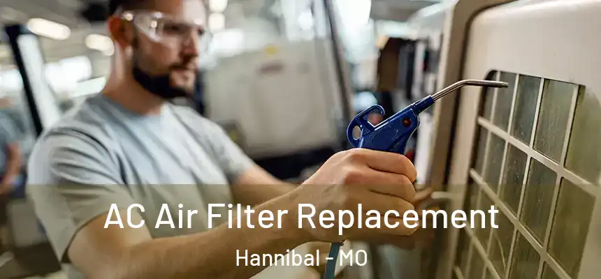  AC Air Filter Replacement Hannibal - MO