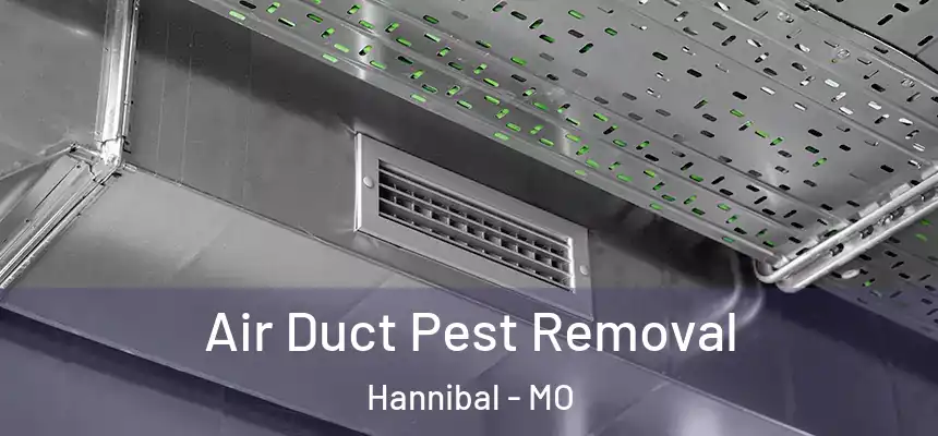  Air Duct Pest Removal Hannibal - MO