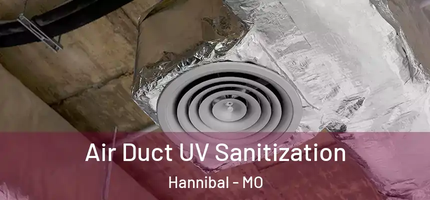 Air Duct UV Sanitization Hannibal - MO