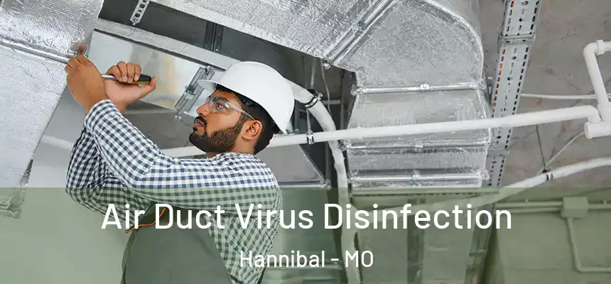  Air Duct Virus Disinfection Hannibal - MO