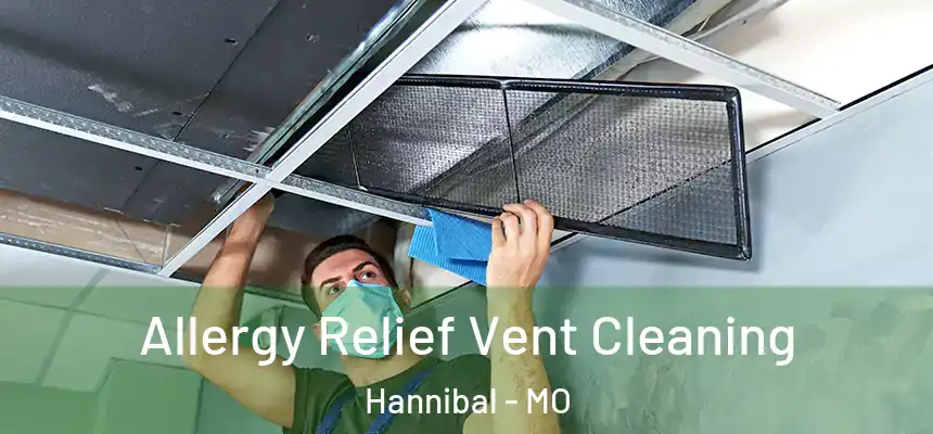  Allergy Relief Vent Cleaning Hannibal - MO