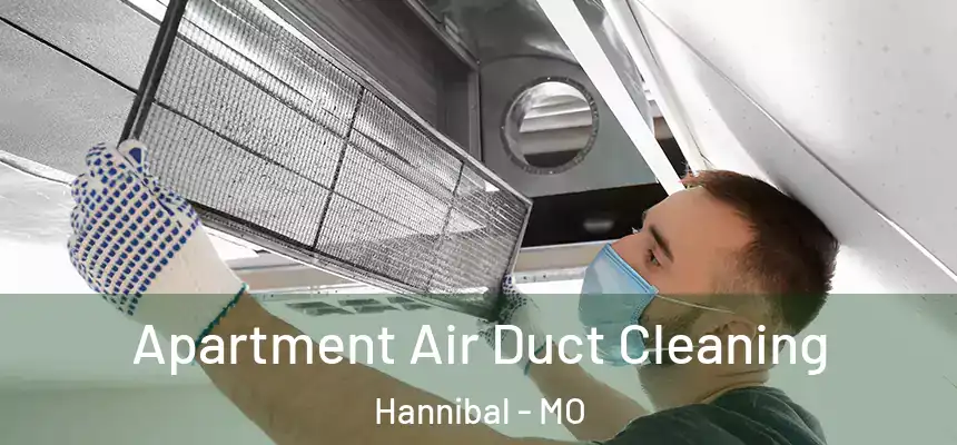  Apartment Air Duct Cleaning Hannibal - MO