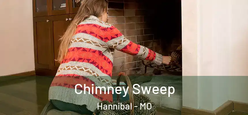  Chimney Sweep Hannibal - MO
