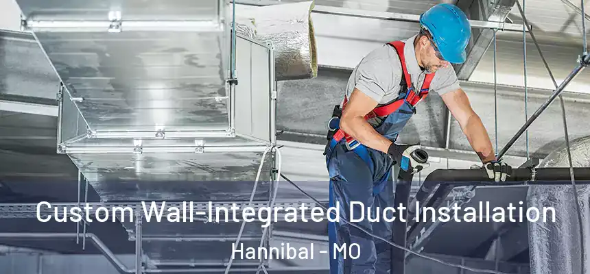  Custom Wall-Integrated Duct Installation Hannibal - MO
