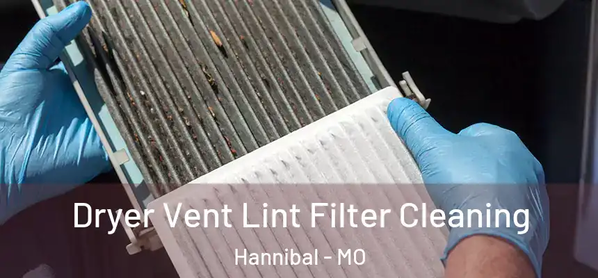  Dryer Vent Lint Filter Cleaning Hannibal - MO