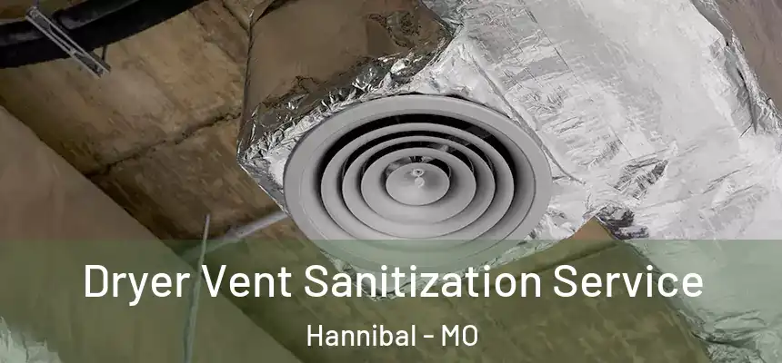  Dryer Vent Sanitization Service Hannibal - MO