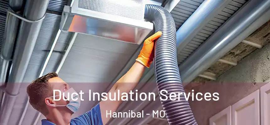 Duct Insulation Services Hannibal - MO