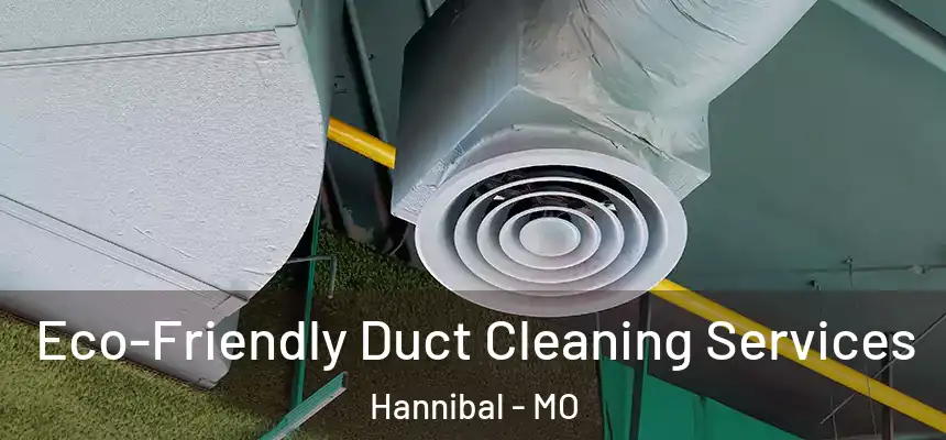 Eco-Friendly Duct Cleaning Services Hannibal - MO