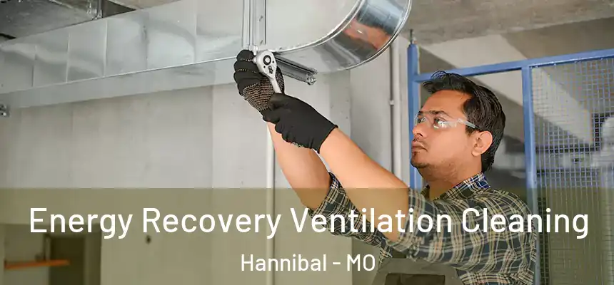  Energy Recovery Ventilation Cleaning Hannibal - MO