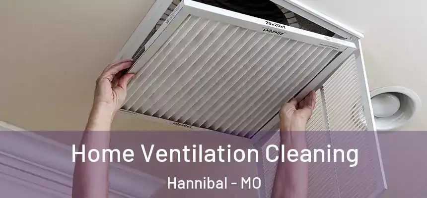 Home Ventilation Cleaning Hannibal - MO