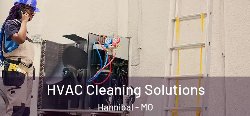  HVAC Cleaning Solutions Hannibal - MO