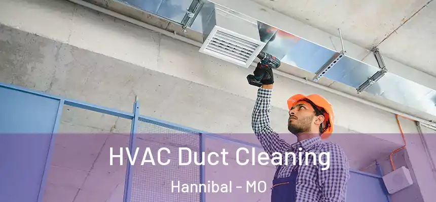  HVAC Duct Cleaning Hannibal - MO