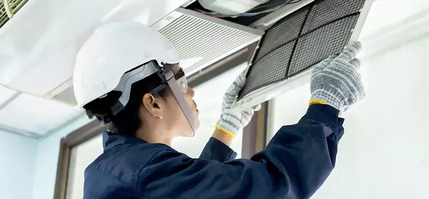 Our Mold & Mildew Removal from Air Ducts Services in Hannibal, MO