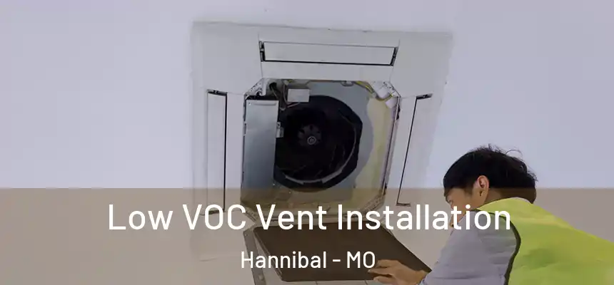  Low VOC Vent Installation Hannibal - MO