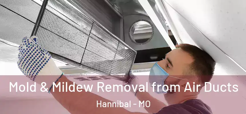  Mold & Mildew Removal from Air Ducts Hannibal - MO