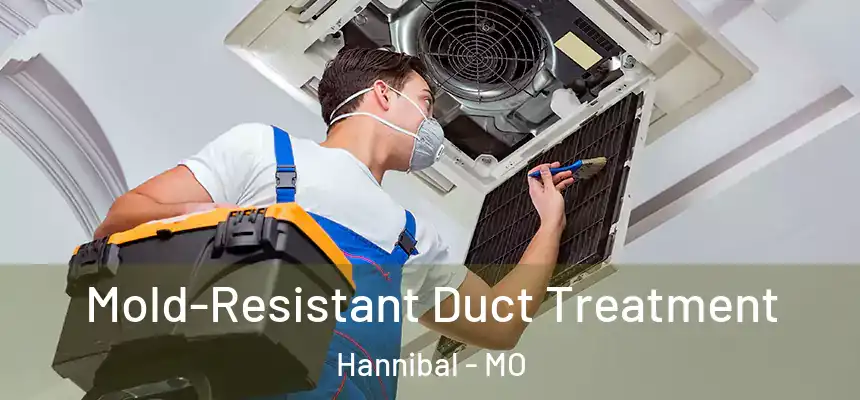  Mold-Resistant Duct Treatment Hannibal - MO