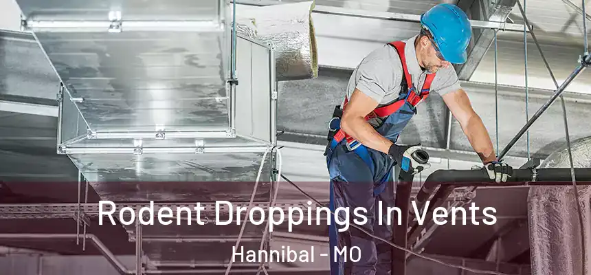  Rodent Droppings In Vents Hannibal - MO