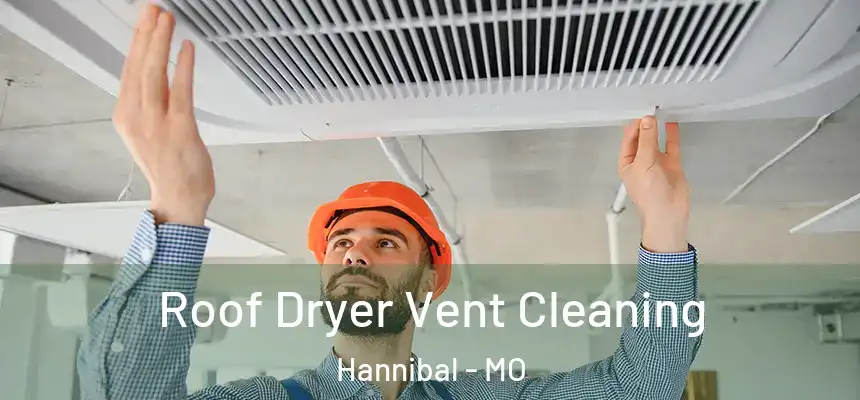  Roof Dryer Vent Cleaning Hannibal - MO