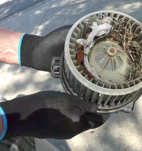 About Air Duct Rat Removal in Hannibal, MO