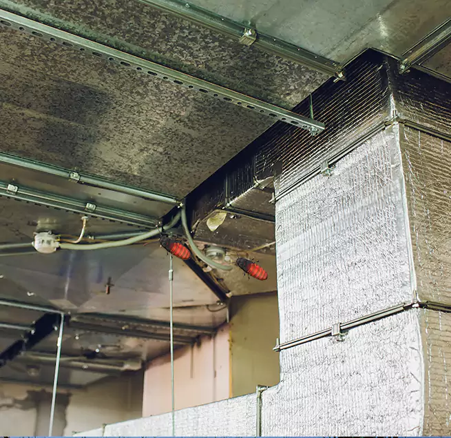 Why Homeowners & Businesses Trust Us in Hannibal, MO?