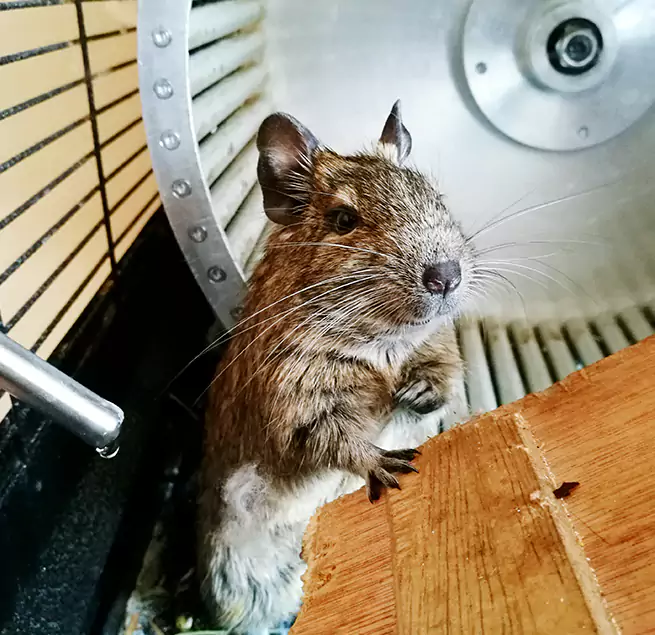 Why Homeowners & Businesses Trust Us Hannibal, MO?