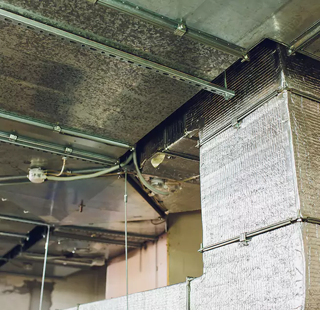 Why Homeowners & Businesses Trust Us in Hannibal, MO?