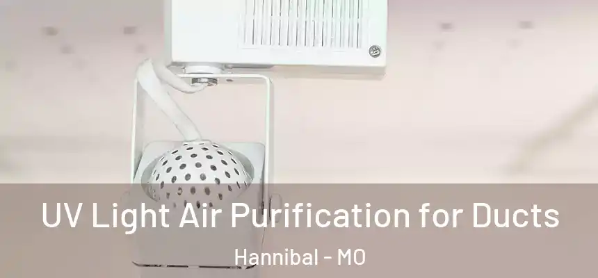  UV Light Air Purification for Ducts Hannibal - MO