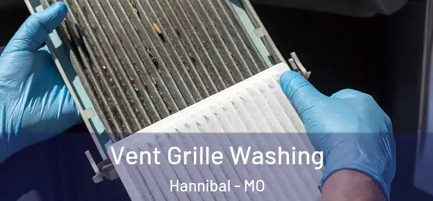  Vent Grille Washing Hannibal - MO