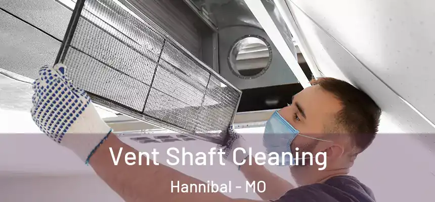  Vent Shaft Cleaning Hannibal - MO