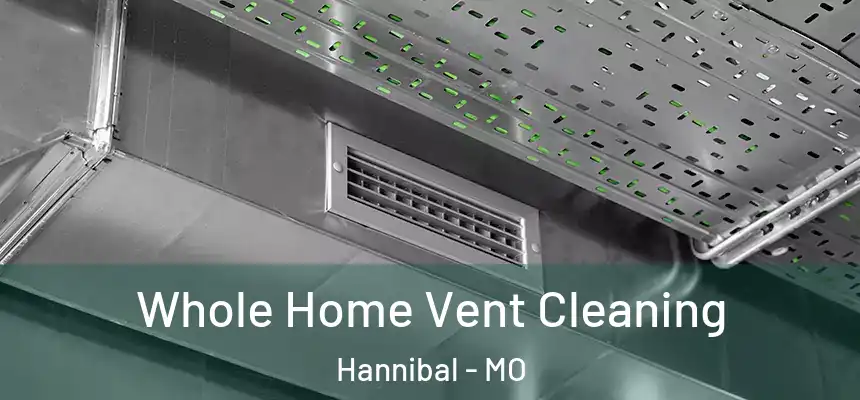  Whole Home Vent Cleaning Hannibal - MO