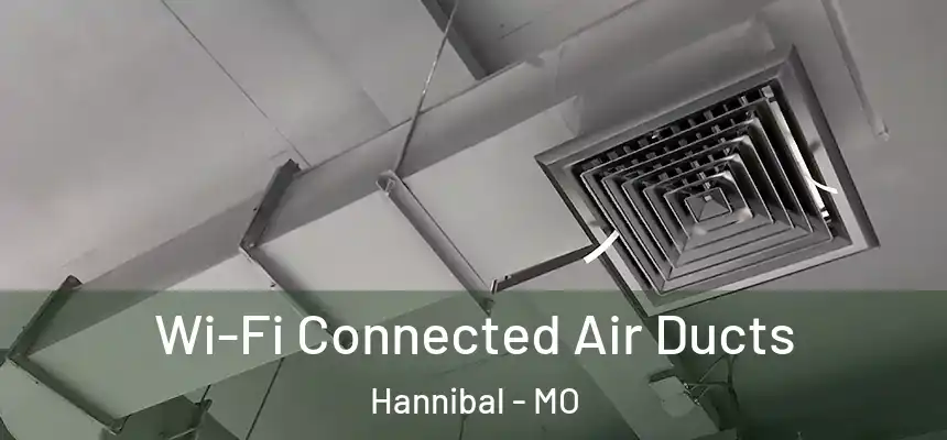  Wi-Fi Connected Air Ducts Hannibal - MO